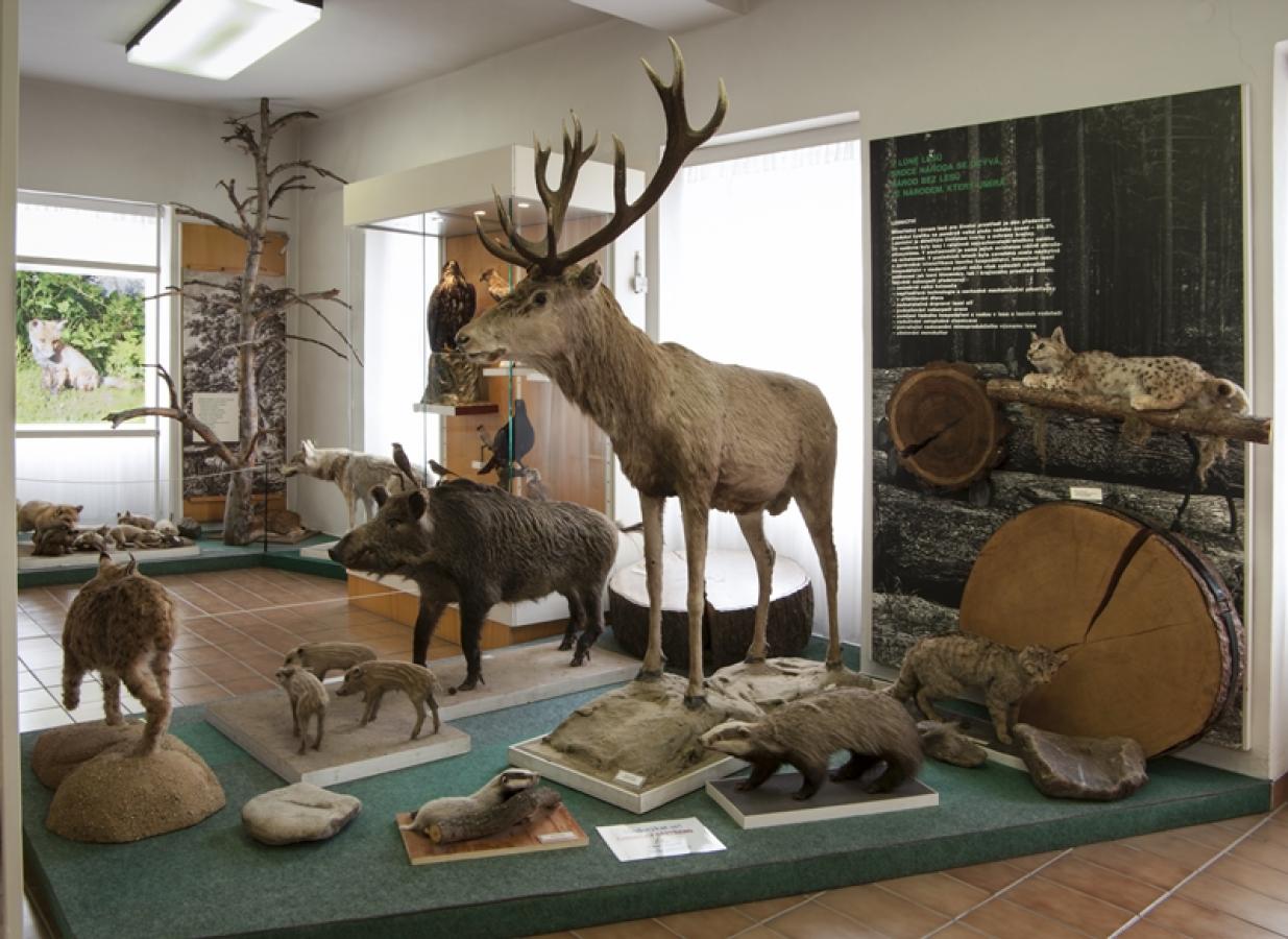 Muzeum Šumavy Kašperské Hory