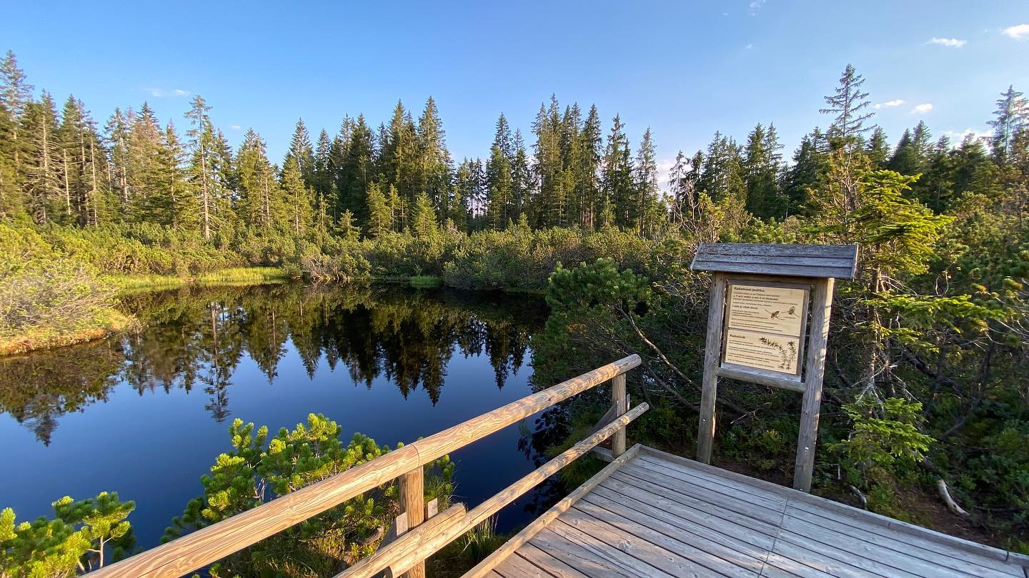 Tříjezerní slať u Modravy